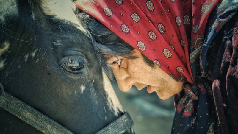 Iranpress: عرض فيلم "بلا كل شيء" في دور السينما بكردستان العراق ابتداء من الخميس