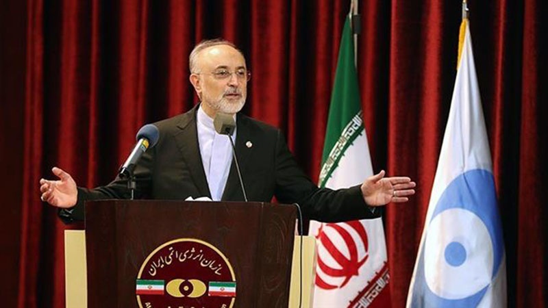Iranpress: Iran is building advanced centrifuges: Salehi