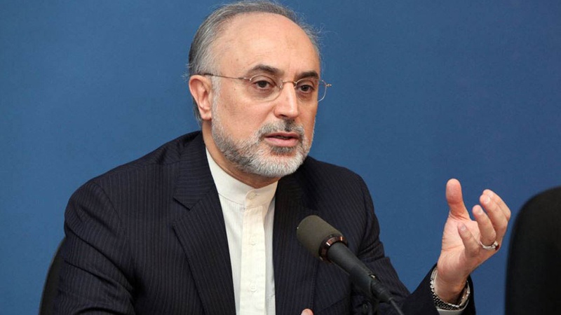 Iranpress: Salehi calls on UK to seize the opportunity of JCPOA