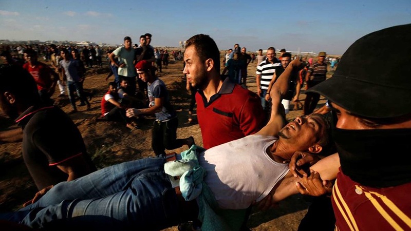 Iranpress: Dozens of Palestinians injured in 64th week of Gaza