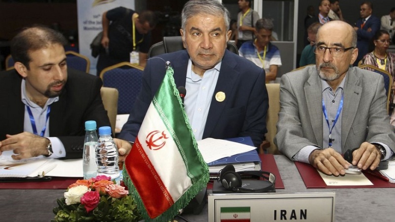 Iranpress: Iranian official warns about leveraging oil against the will of the OPEC