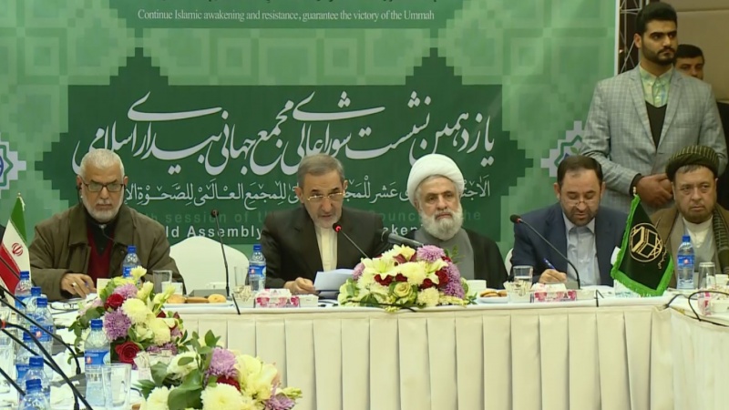Iranpress: Fight against Israel is the top issue for Muslims:   Velayati
