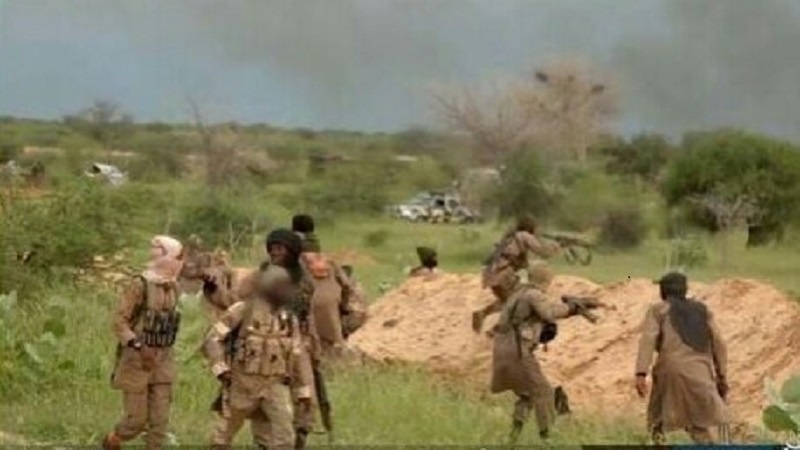 Iranpress: Boko Haram kills 14 in Nigeria