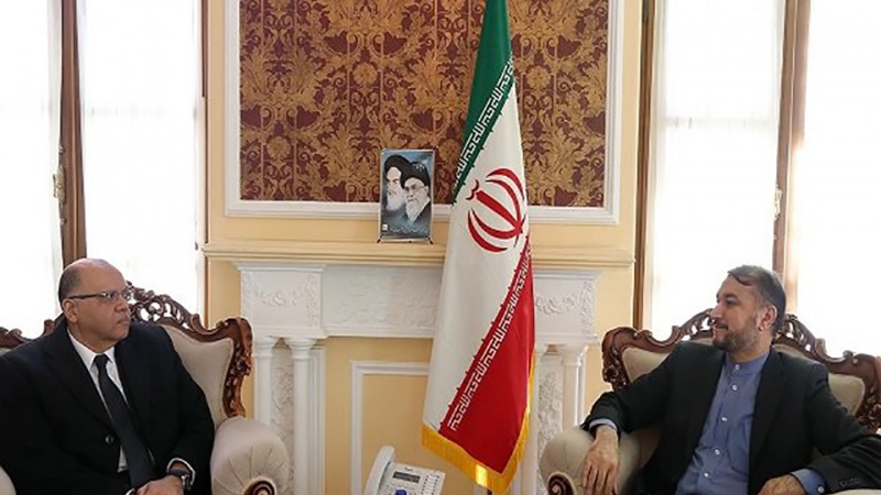 Iranpress: Iran, Egypt discuss bilateral issues