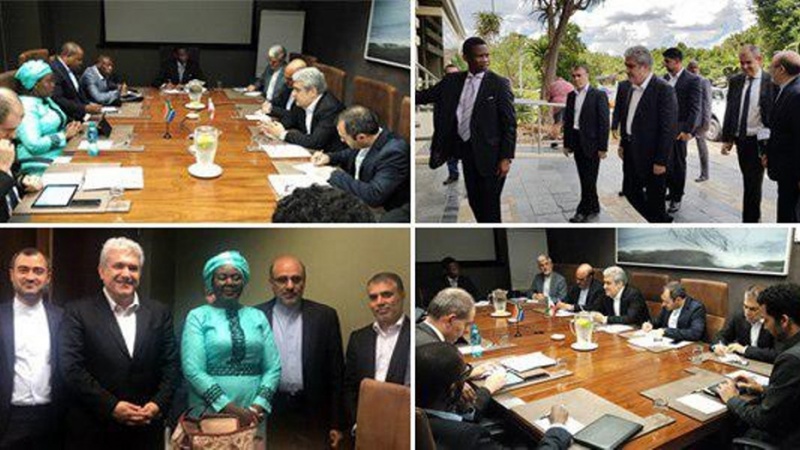 Iranpress: Iran, S. Africa discuss scientific cooperation 