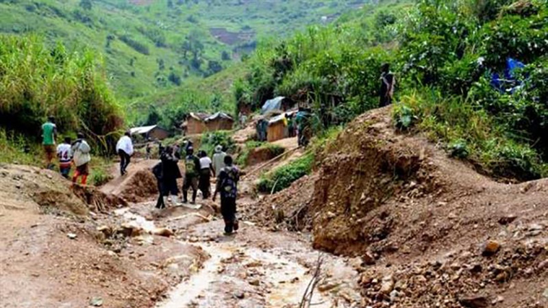 Iranpress:  DR Congo landslide claims lives of five 