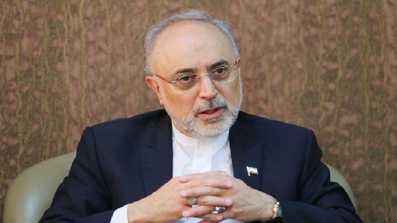 Iranpress: Salehi: Iran
