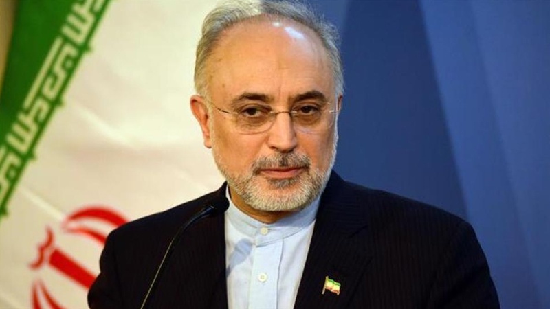Iranpress: Iran calls on EU to accelerate setting up SPV before it