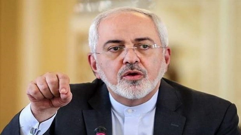 Iranpress: Zarif calls Marzieh Hashemi arrest a clear violation of freedom of speech