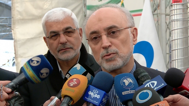 Iranpress: Salehi: Iranian scientists have complete mastery over nuclear science and technology