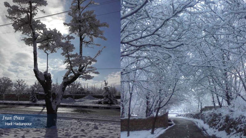 Iranpress: Photo: Snowy weather in Eqlid, Fars Province