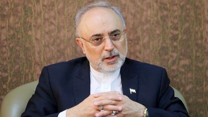Iranpress: Iran sends radio-medicines to 15 countries:  Salehi