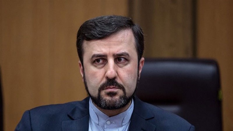 Iranpress: Iran urges international cooperation on cybercrimes