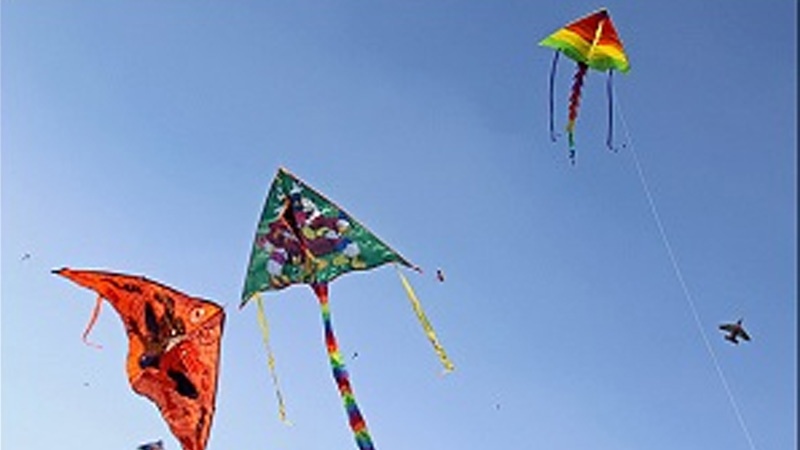 Iranpress: Kite Festival in Iran