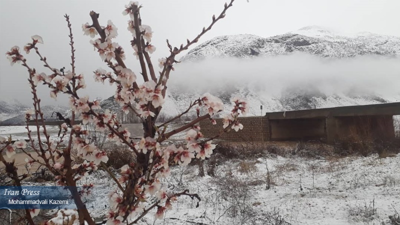 Iranpress: Photo: Lorestan precipitation falls as snow and rain