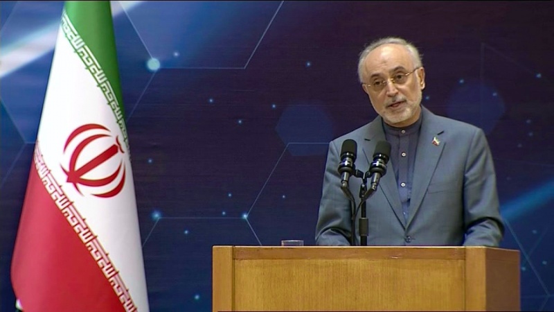 Iranpress: Salehi: 114 new achievements in nuclear technology ready to become operational
