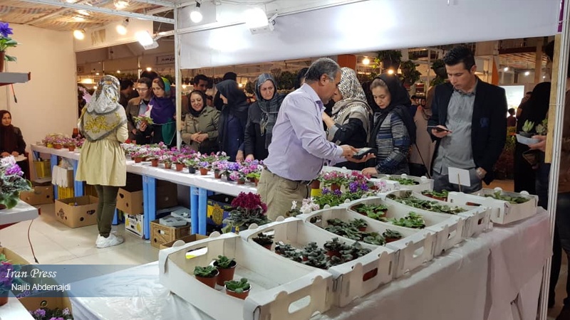 Iranpress: The biggest flower fair in Iran