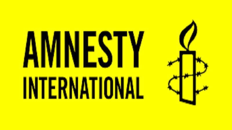 Iranpress: Amnesty International slams Zionist regime