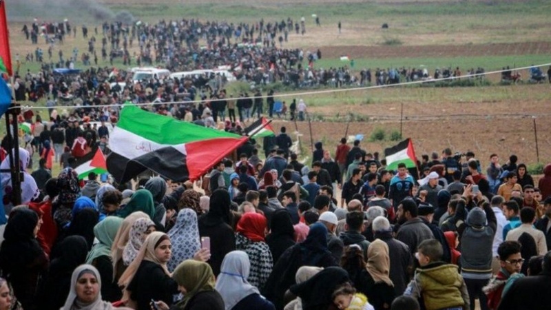 Iranpress: Palestinian demonstrators clash with the Zionist soldiers in Great March of Retrun 