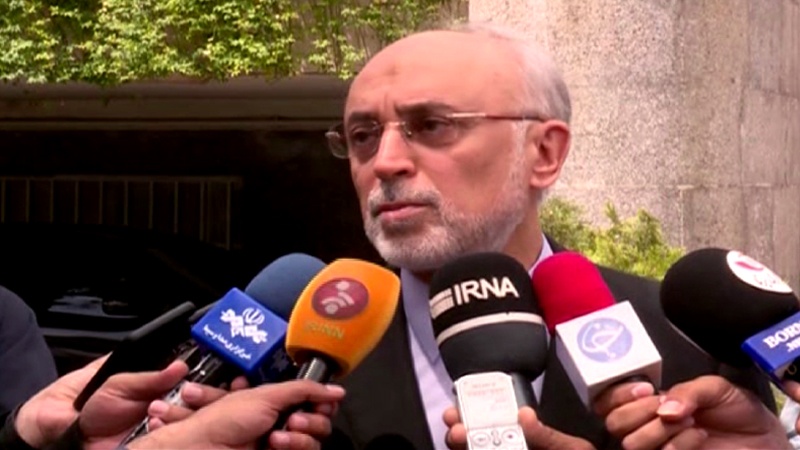 Iranpress: Iran wisely calls US bluff: Head of AEOI