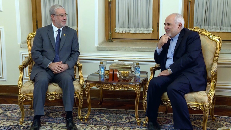 Iranpress: Iran, Iraq play key role in preserving regional peace & stability