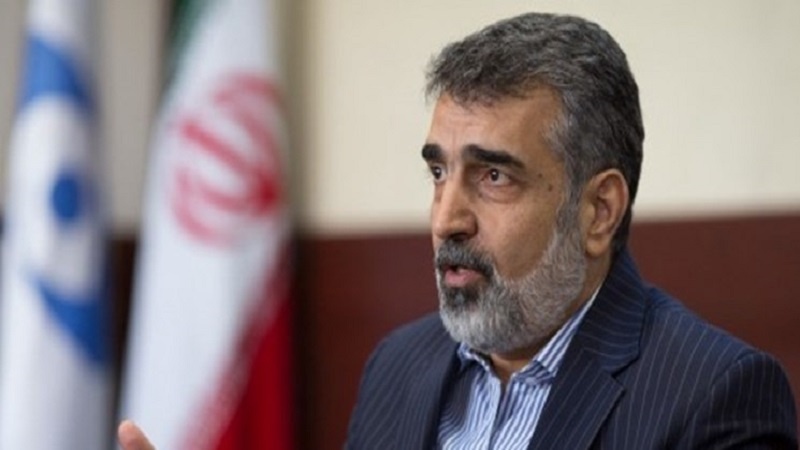 Iranpress: Kamalvandi: Iran is ready for the next round of increasing uranium enrichment 