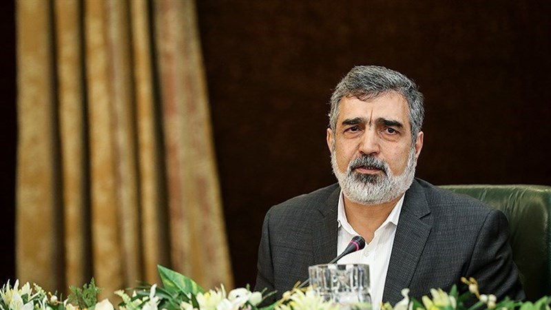 Iranpress: Iran stands at 4.5 percent nuclear enrichment: AEOI Spokesman