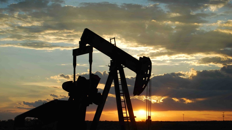 Iranpress: NIOC discovers a new oil reservoir in southern Iran