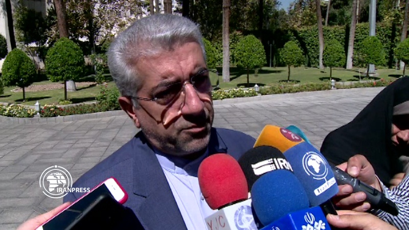 Iranpress: Eurasian Union meeting opportunity to increase employment: Iranian Minister