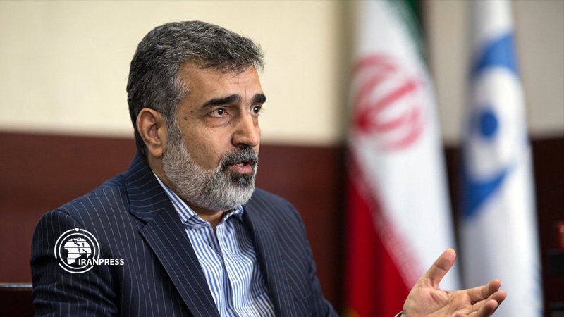 Iranpress: AEOI spox explains Iran