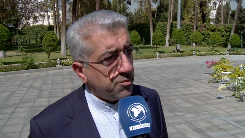 Iranpress: Energy Minister: EAEU