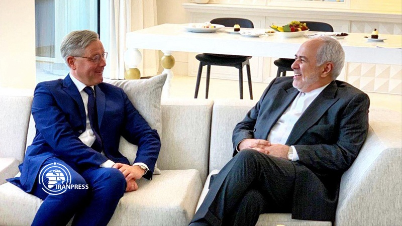 Iranpress: Senior German parliamentarian meets with Zarif