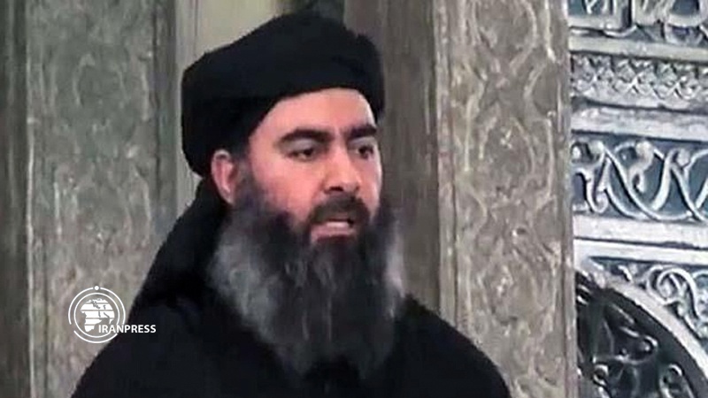 Iranpress: Trump confirms Baghdadi