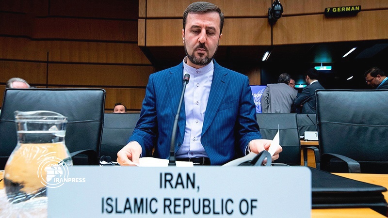Iranpress: IAEA confirms increase in Iran