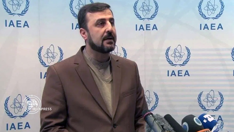 Iranpress: Iran is a major partner of UN atomic agency: Envoy