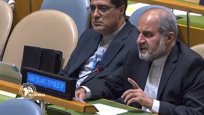 Iranpress: Envoy: Iran not to carry the JCPOA burden alone