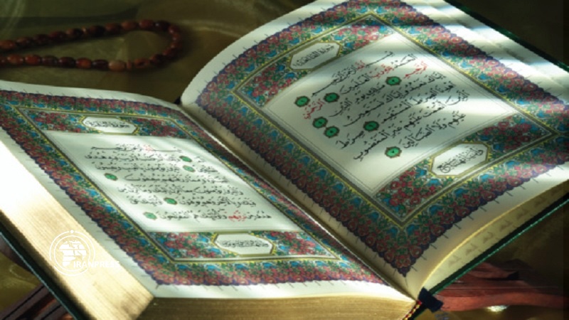 Iranpress: Norwegian Muslims condemn insults to Islam and Quran