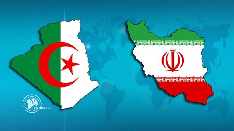 Iranpress: President Rouhani lauds strong ties between Iran, Algeria 