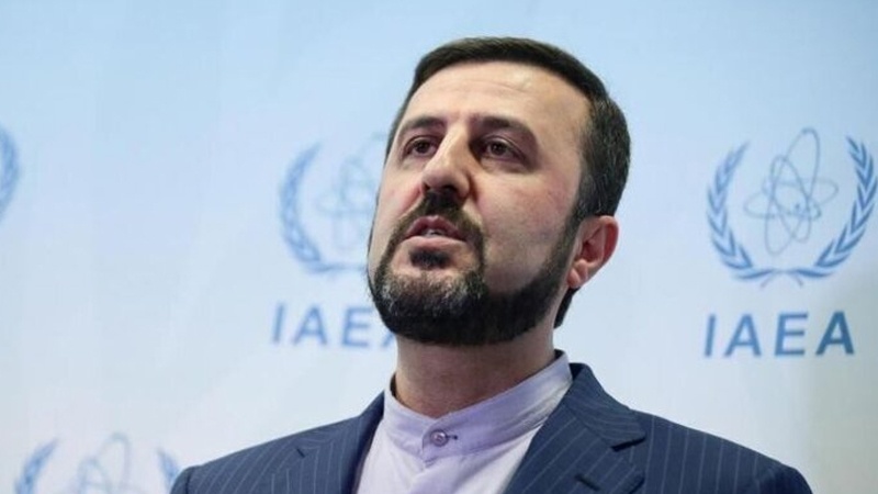 Iranpress: Iran not tolerate IAEA disregarding agreement: envoy