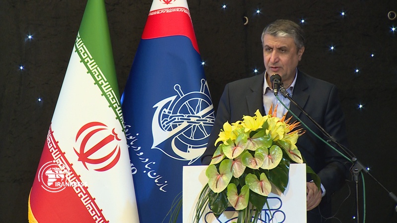 Iranpress: Sanctions, opportunity for maritime industry growth: Iranian Minister