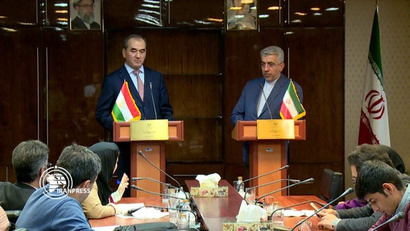 Iranpress: Tajikistan invites Iranian companies to have bigger role in Tajik energy projects