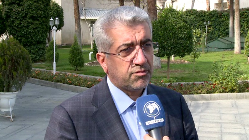 Iranpress: Regional cooperation potentials counted upon more than in the past: Energy Minister