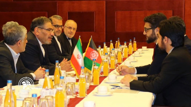 Iranpress: Afghan official: Afghanistan ready to fight terrorism in region 