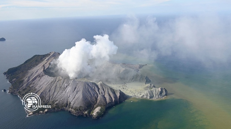 Iranpress: New Zealand volcano eruption results in five dead 