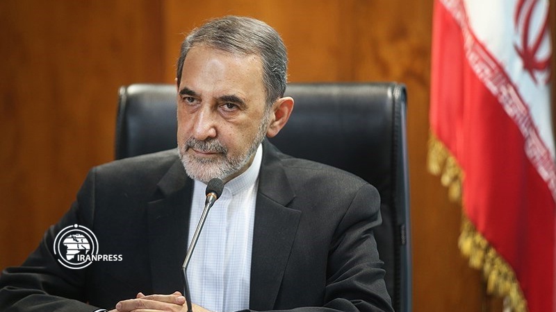 Iranpress: Iran stands against divisive conspiracies in region: Top advisor