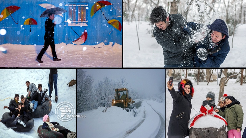 Iranpress: Beautiful snowfall brings joy to Iranians in winter