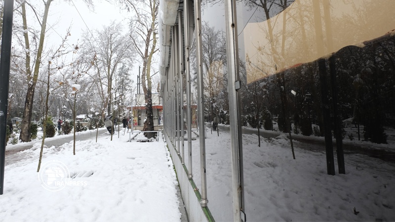 Iranpress: Tehran is blanketed by winter snow