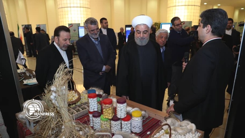 Iranpress: President visits Agricultural Expo