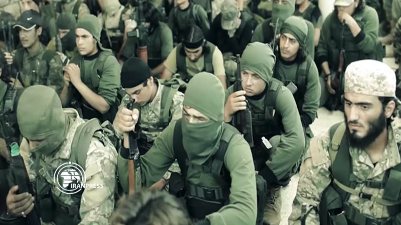 Iranpress: "20,000 Jabhat al-Nusra terrorists active in Syria