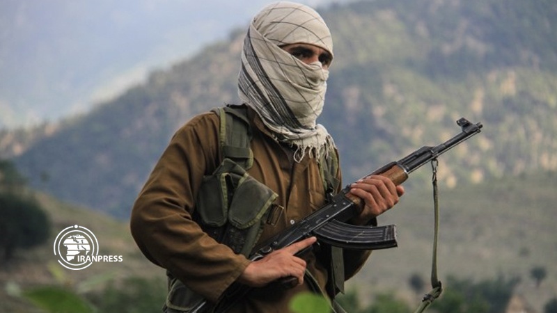 Iranpress: Taliban denies involvement in attack on Mazari memorial